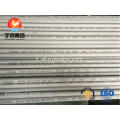 ASTM A213 TP316L SMLS Tubo